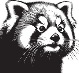 Red Panda Vector Illustration in Black & White – High-Quality Line Art Design