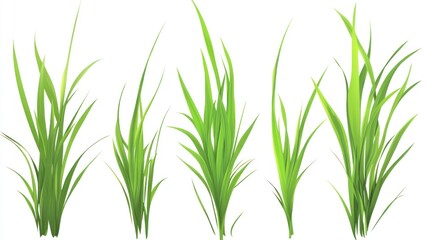 Fototapeta premium Collection of Lush Green Grass Blades