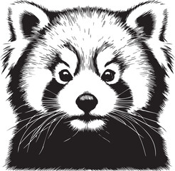 Red Panda Vector Illustration in Black & White – High-Quality Line Art Design
