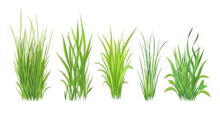 Obraz premium Five Lush Green Grass Patches Illustration