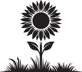 Sunflower vector illustration