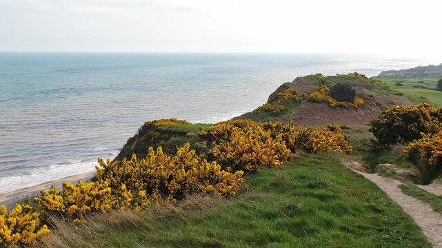 Walking the Paston Way along the clifftops in Cromer, Norfolk Coast. Pull back and reveal shot