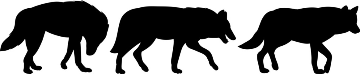 wolves walking one after another silhouette, vector