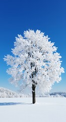 Snow covered tree against a blue sky