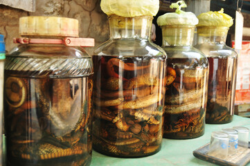 Laotian made traditional liquor fermented and pickled with poisonous animals insect with herbal herb for Lao people and foreign travelers sale and drinks at Luangprabang city in Luang Prabang, Laos