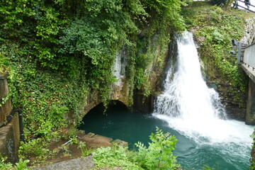 waterfall in the forest