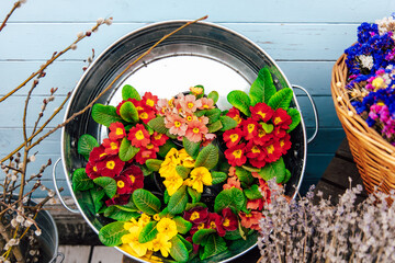 Vibrant flowers arranged in a metal container on a sunny day in a garden setting