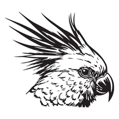 Cockatoo line art silhouette vector illustration, Black silhouette of cockatoo head, Bird silhouette