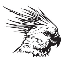 Cockatoo line art silhouette vector illustration, Black silhouette of cockatoo head, Bird silhouette