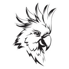 Cockatoo line art silhouette vector illustration, Black silhouette of cockatoo head, Bird silhouette