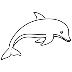 Fototapeta premium dolphin animal marine