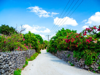 ブーゲンビリアの咲く竹富島（沖縄県竹富町）