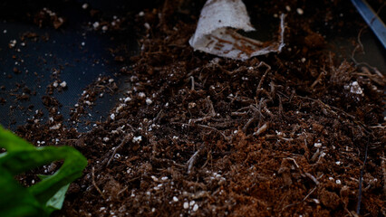 View of used soil lying on the floor after repotting a plant