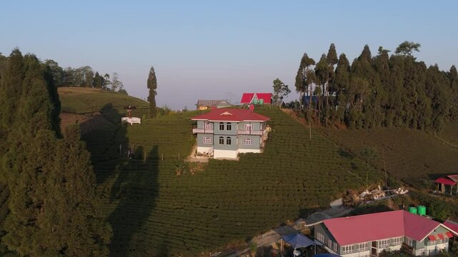 Aerial view of a green tea garden in ilam, Nepal. Fresh Green tea Field. Green tea plantation and forest nature landscape. Beautiful mountain tea garden landscape.