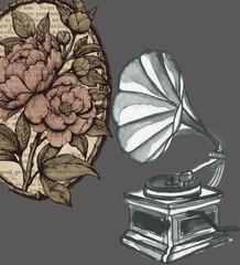 old-fashioned musical instruments that still use vinyl records and very beautiful flowers blooming