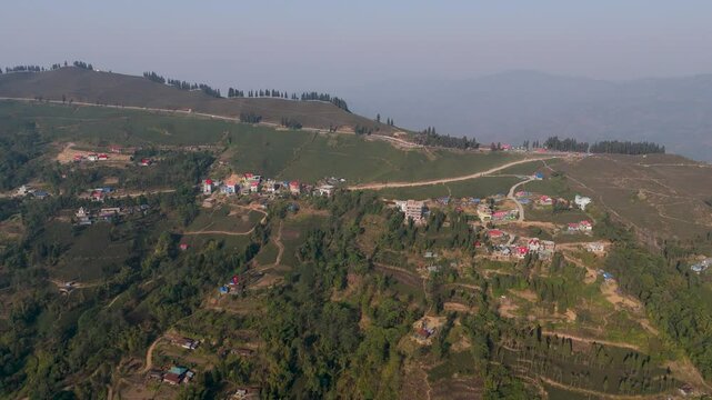 Aerial view of a green tea garden in ilam, Nepal. Fresh Green tea Field. Green tea plantation and forest nature landscape. Beautiful mountain tea garden landscape.