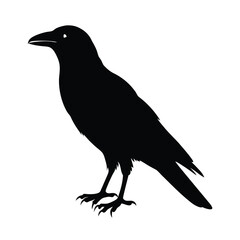 Raven Perched Beak Vector Silhouette