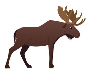 Moose in simple vector style.