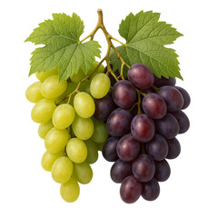 Fototapeta premium bunch of red grapes isolated on transparent or white background png 