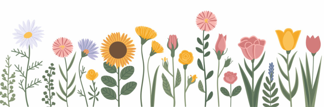 Vector illustration of wildflowers in various bloom stages – Great for floral designs, gardening content, or seasonal decor