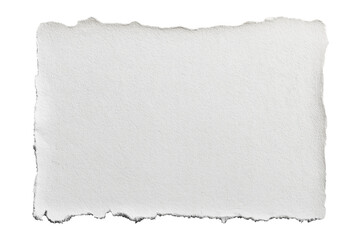 Obraz premium blank textured piece of torn paper with rough edges