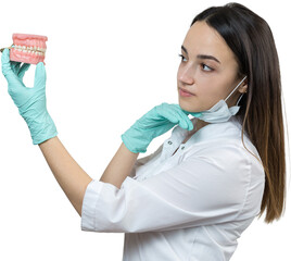 Girl doctor dentist in a white coat holds a mock of teeth.