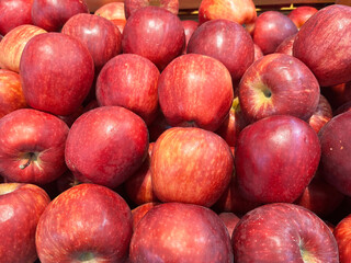 Fresh organic red apples at a market. Bunch of apples are displayed on the table for sale