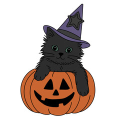 halloween cat with pumpkin