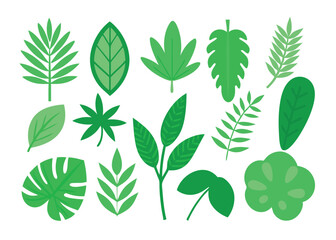 Tropical various green leaves