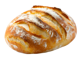 bun isolated on white background