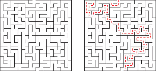 Complex maze illustration showing solution with path labeled and unsolved perspective.