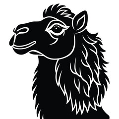 Obraz premium Bactrian Camels Portrait Isolated Vector