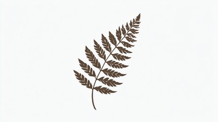 Brown fern leaf on a white isolated background.