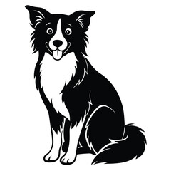 Fototapeta premium Isolated Sitting Border Collie Artwork