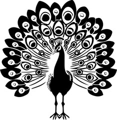 Minimalist Peacock Vector, Elegant Line Art Bird Illustration in Black and White