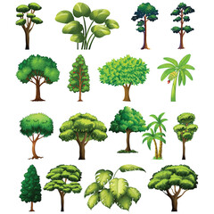 silhouette of green trees
