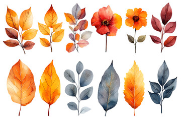 Obraz premium Autumn watercolor leaves flowers botanical illustration