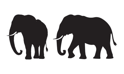Fototapeta premium elephant silhouette vector