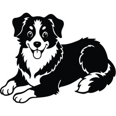 Australian Shepherd Laying Down Smiling