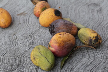 Una toma de cerca de varios mangos en el piso de concreto dañado