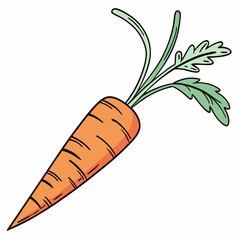 Fresh orange carrot vegetable clipart illustration