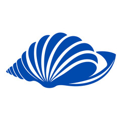 vector illustration of shell