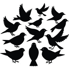Obraz premium Bird Silhouette Graphic Vector Set