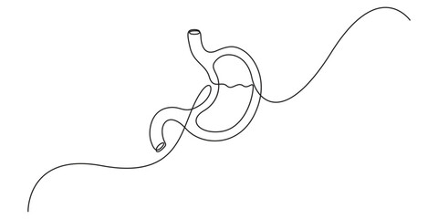 Stomach one continuous line drawing anatomy concept on white background. Single line art stomach minimalism vector illustration