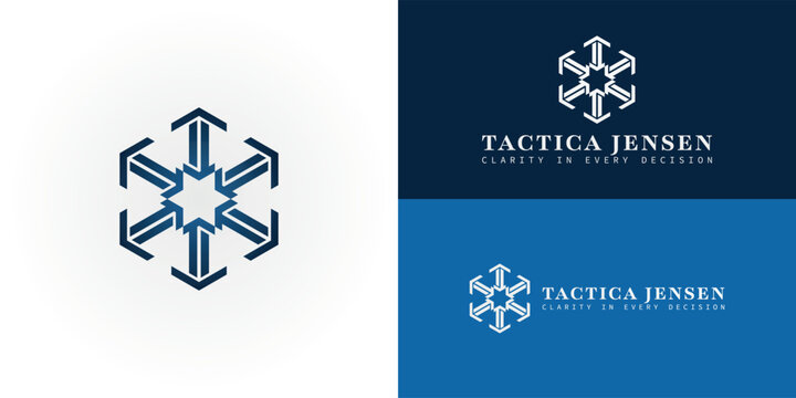 The logo features six arrows radiating from a central star, incorporating the initials TJ. This design symbolizes integrated data, global analytic, and the platform's ability to analyze worldwide data