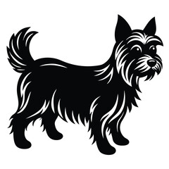 Girl in Yellow Belt Taekwondo Kick