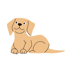 International Dog Day Illustrations 