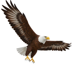 Obraz premium 力強く羽ばたくワシ 暗い背景に映える雄々しい姿