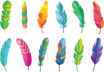Multi Colors Bird's Feathers 
