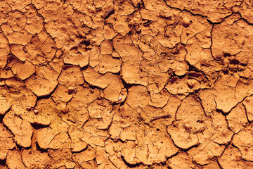 Cracked Earth. An arid landscape with cracked, dry earth patterns in a warm orange hue